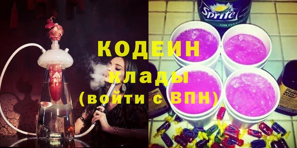 индика Слюдянка