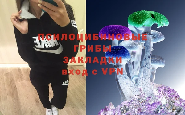 PSILOCYBIN Верхнеуральск