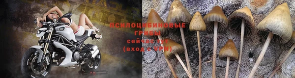 первитин Володарск